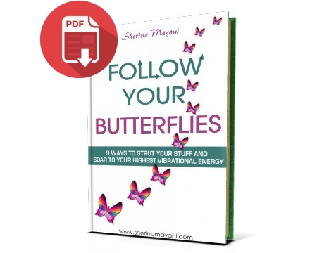 Follow Your Butterflies eBook